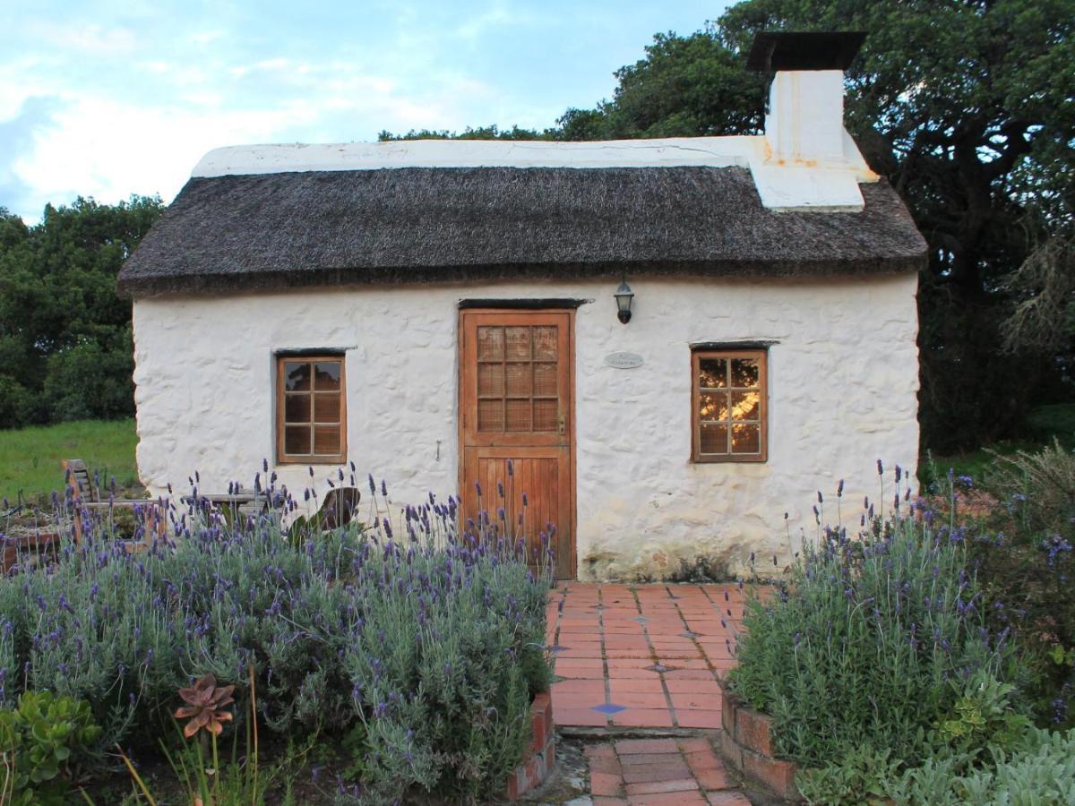 Springfontein River Lodge Stanford Esterno foto
