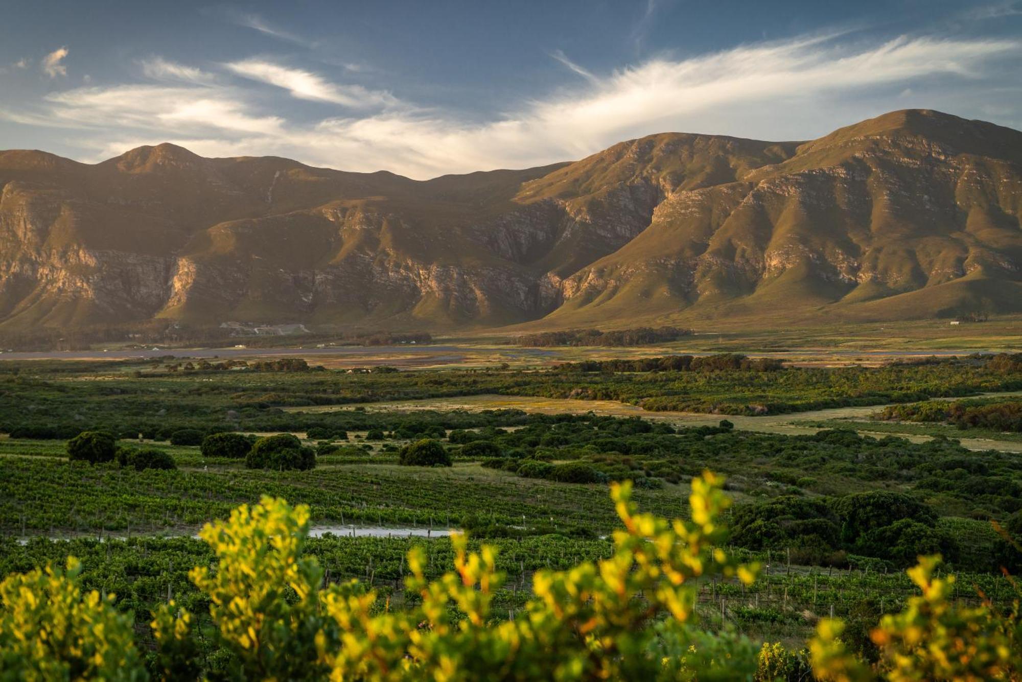 Springfontein River Lodge Stanford Esterno foto