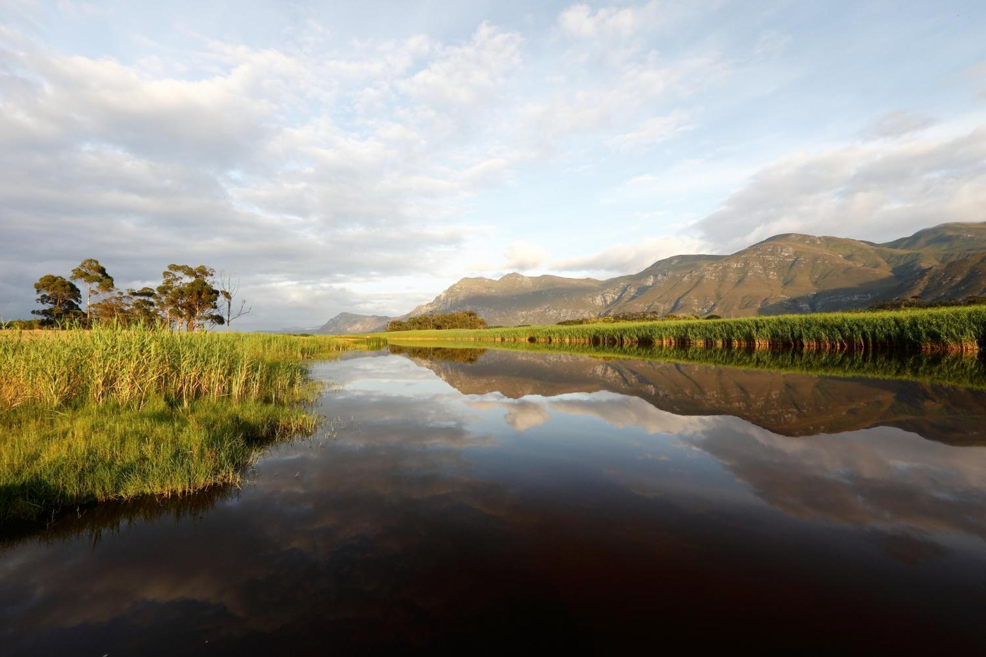 Springfontein River Lodge Stanford Esterno foto