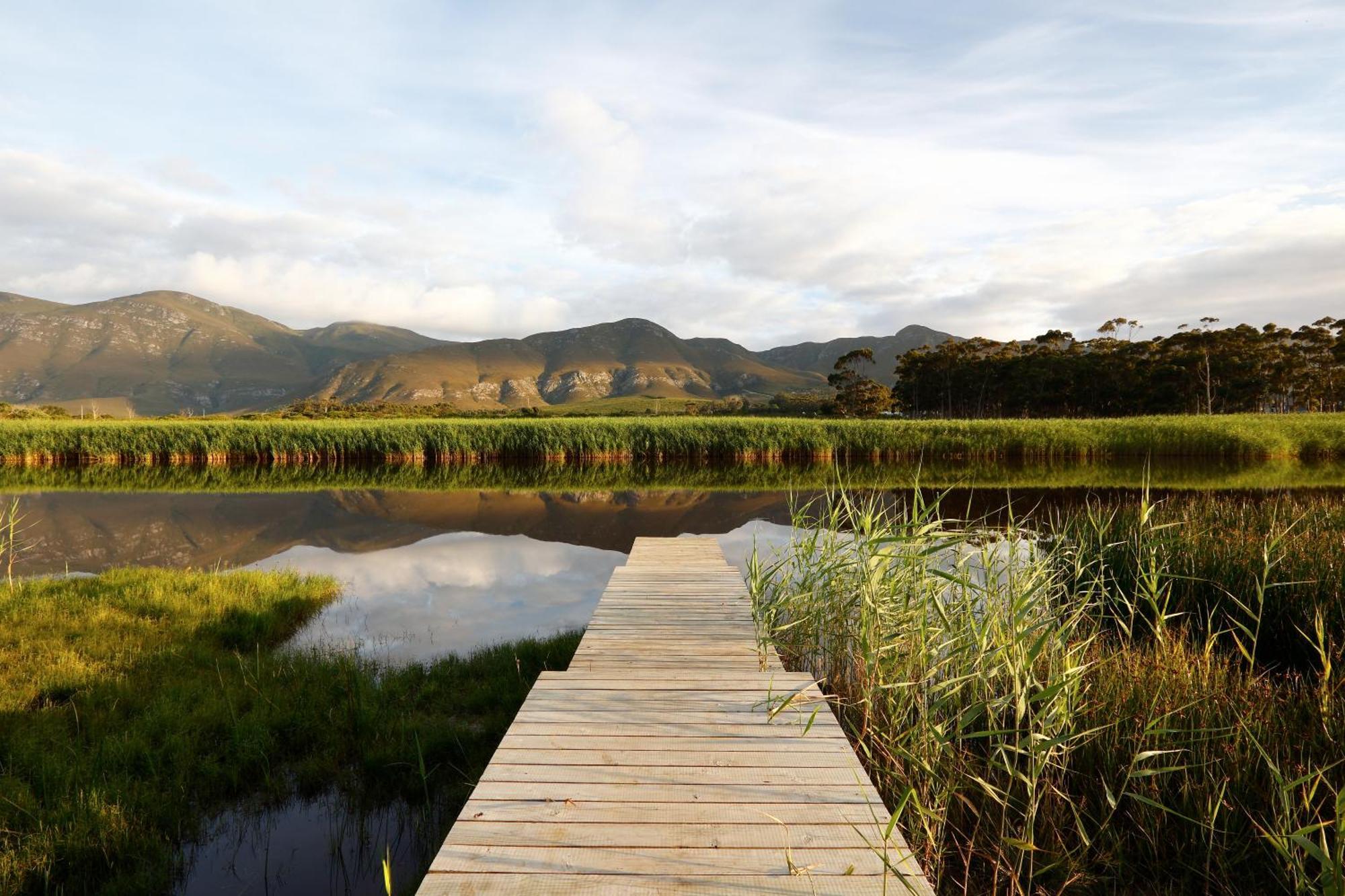 Springfontein River Lodge Stanford Esterno foto