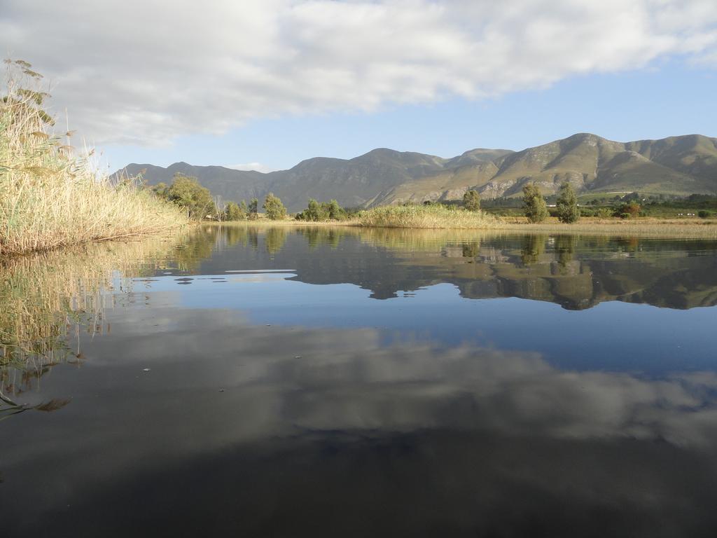 Springfontein River Lodge Stanford Esterno foto